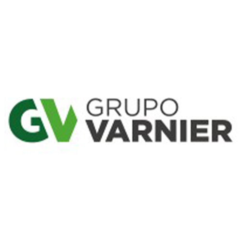 Grupo Varnier